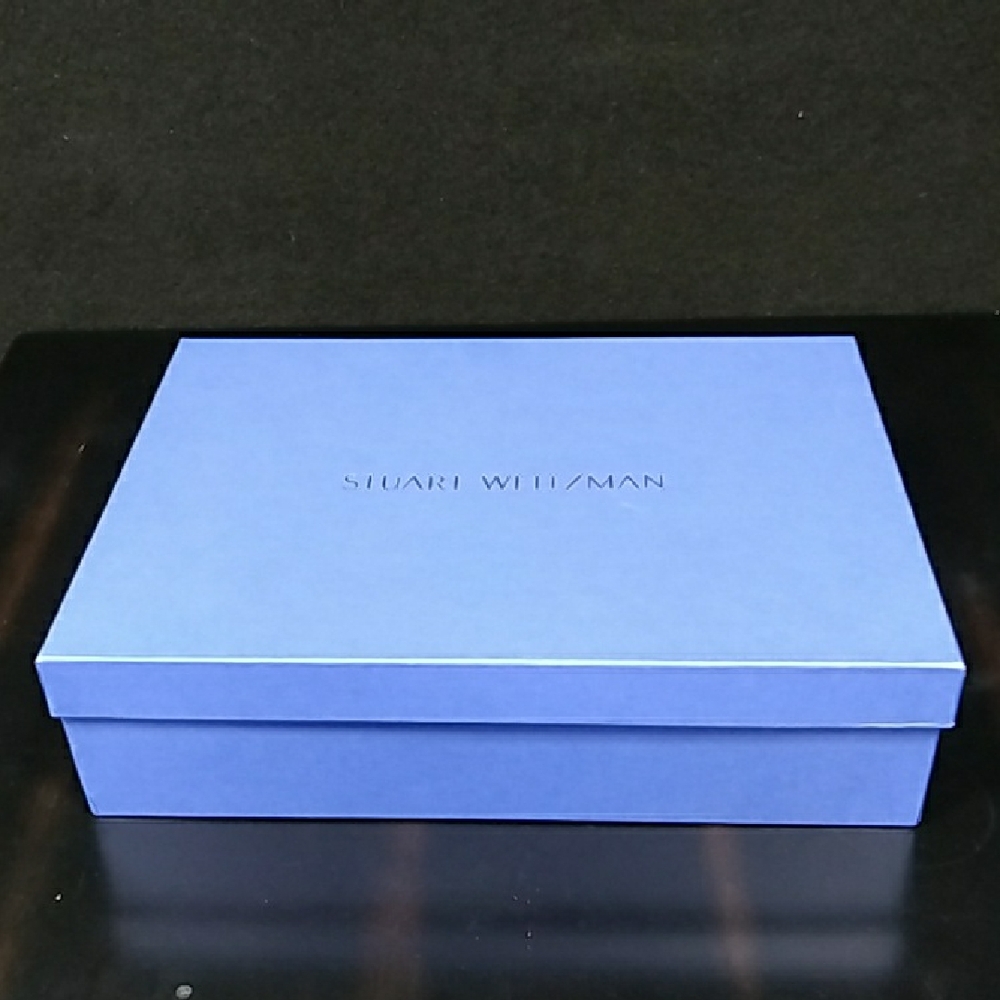 Stuart Weitzman Blue Boot Box for Gotham Zip
